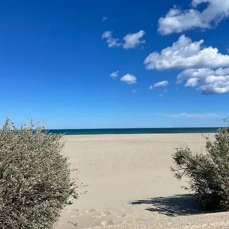 Les Pieds Dans L'eau * קאנט אן רוסיון